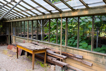 greenhouse in the garden