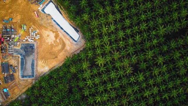 Cinematic 4K Drone Footage of Onshore Drilling Rig equipment structure for oil exploration and exploitation in the middle of jungle surrounded by palm oil trees during sunset and high oil price.