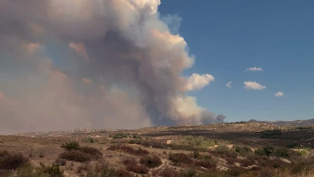 Wildfire smoke rising high up in the atmosphere forming pyrocumulus cloud.