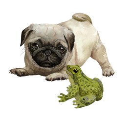 english bulldog puppy,Pug with a frog.