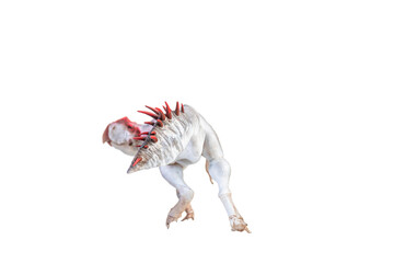 Fototapeta premium Protoceratops , dinosaur on isolated background