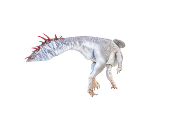 Protoceratops  , dinosaur on  isolated background