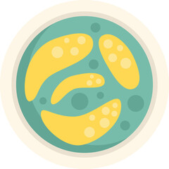 Petri dish icon flat vector. Bacteria cell. Medical health isolated