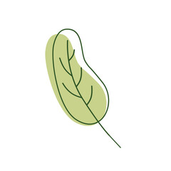 Aesthetic Flat Leaf Flower