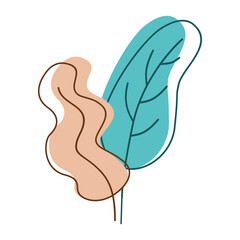 Aesthetic Flat Leaf Flower