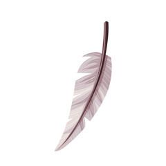 Bird feather on the white background. Isolated vector illustration.