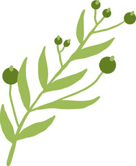 Green Leaf Illustration