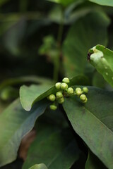 background blur photography
