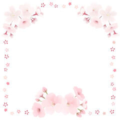 桜の花束　シンプルな四角枠　透過