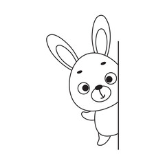 Coloring page cute little hare peeking around corner. Coloring book for kids. Educational activity for preschool years kids and toddlers with cute animal. Vector stock illustration