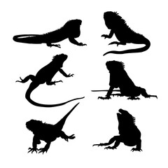 Set of silhouettes of iguanas vector design