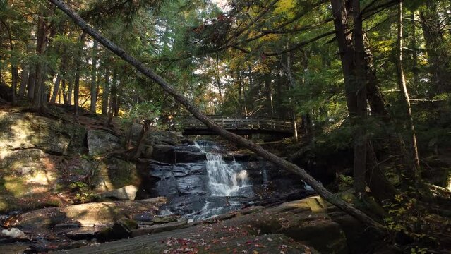 Inglis falls conservation area waterfalls cascade crane shot 