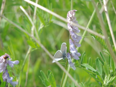 Blockby photos, images, assets | Adobe Stock