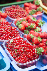 Freshly picked organic strawberries, blackberries, raspberries, currants in plastic transparent trays on the market. Summer ripe juicy berries, eco-friendly product, healthy food