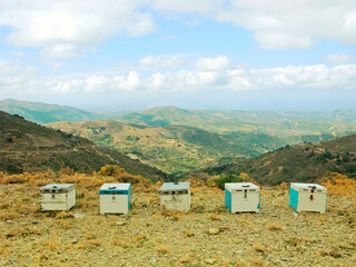 Apiary high in the mountains