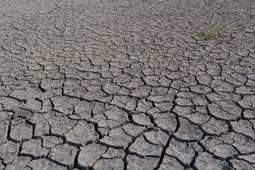 The ground has cracks in the top view for the background or graphic design with the concept of drought and death