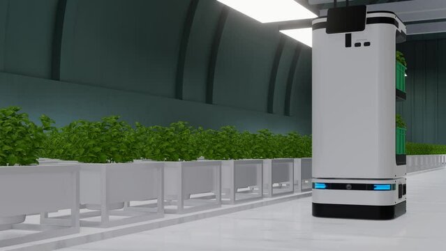 An autonomous robot that help transport and take care of in vegetable plantation.