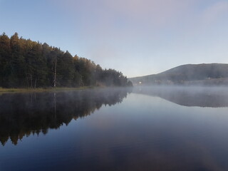  forest, lake, fog