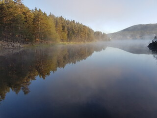 Fototapeta premium forest, fog, reflection