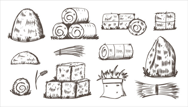 Hay bales sketch style. Hand drawn piles, heaps and stacks, straw in rolls and squares, dry grass, farm fodder. Village and countryside elements. Haystack vector isolated illustration