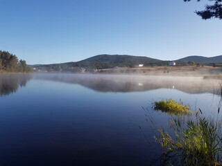  forest, fog, reflection
