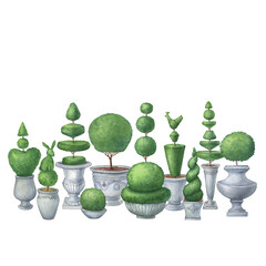 Topiary, evergreen plant trimmed heart, bird and  rabbit shape, round geometric shrubs. Tree in grey pot for home patio decor. Hand drawn watercolor painting illustration isolated on white background. - 559716367