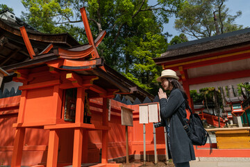 devout asian Japanese woman visitor standing and praying in front of a small red shinto shrine with...