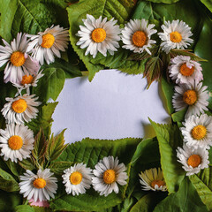 Fototapeta premium Creative layout made of leaves and flowers with paper card note