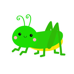 Grasshopper cricket locust icon. Cute cartoon kawaii baby character. Insect bug collection. Flat design. White background. Isolated.