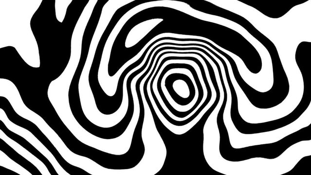 Striped wave animation. Black white liquid line animated pattern. Seamless loop motion print. Optical abstract design