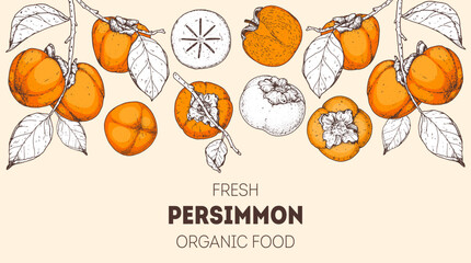 Persimmon fruit hand drawn design. Vector illustration. Design, package, brochure illustration. Persimmon fruit frame illustration. Design elements for packaging design and other
