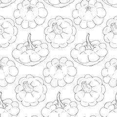 Vector seamless pattern of a patisson. Patty pan squash, dish-shaped pumpkin pattern
