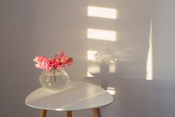 spring flowers in glass vase on background white wall in sunlight