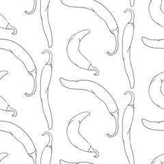 Chilli Pepper vector seamless pattern, isolated on white background.