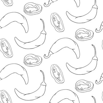 Chilli Pepper vector seamless pattern, isolated on white background.