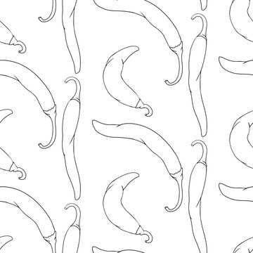 Chilli Pepper vector seamless pattern, isolated on white background.