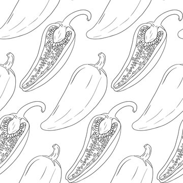 Chilli Pepper vector seamless pattern, isolated on white background.
