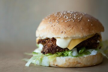 Homemade chicken burger, burger buns gluten free