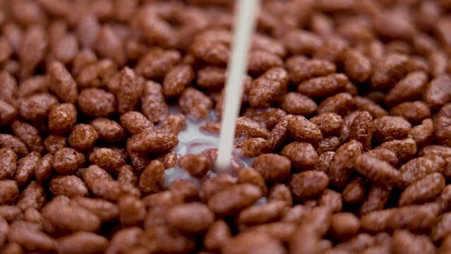 Milk pouring on a pile of chocolate cereal puffed rice flakes. Cooking crispy popped breakfast grains. Macro shot. Slow motion