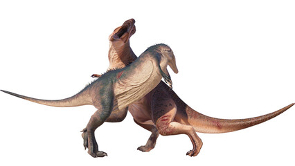 dinosaur king acrocanthosaurus. acrocanthosaurus dinosaur on a blank background PNG	