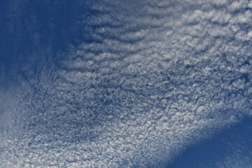 Fototapeta na wymiar Cotton-like clouds spread across the sky on a clear day.
