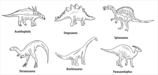 line and hatch drawing 6 dinosaur drawings vector illustration. parasaurolophus, brachiosaurus, spinosaurus, dicraeosaurus, acanthopholis, stegosaurus