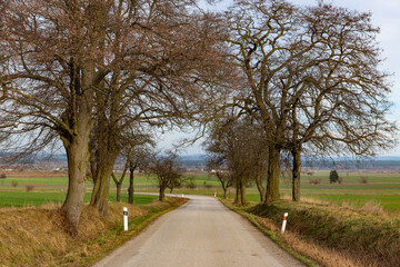 Empty country road in early spring