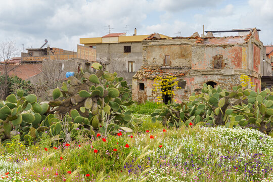 Old house with flowers, Locri, Calabria, Italy
