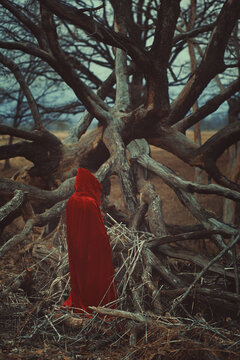 Person alone in a dead desolate land