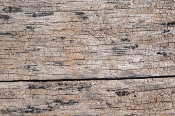 old rustic wood texture background