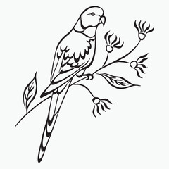 Bird parrot on a flowering branch hand drawing. Black and white line art of parrot. Silhouette pattern vector illustration isolated on white  background. Linear drawing. Hand drawn ink pattern.