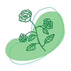 beauty hand drawn green rose with fluid background