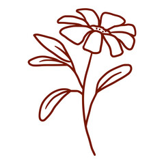 hand drawn single flower isolated on white