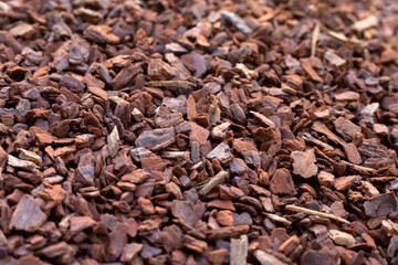 Pine bark is an ingredient for cultivation. Beneficial to the soil and plants.